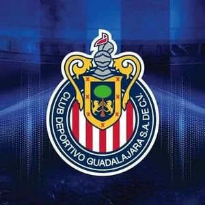 Meet your Posher, Manuel